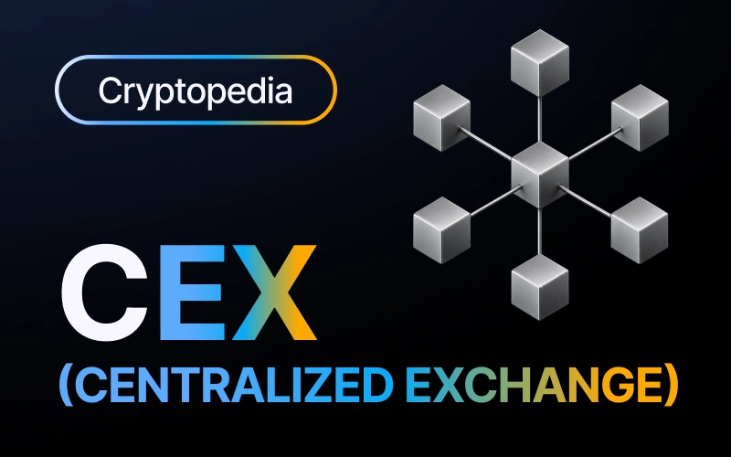 O que é uma CEX (exchange centralizada)? Como funciona