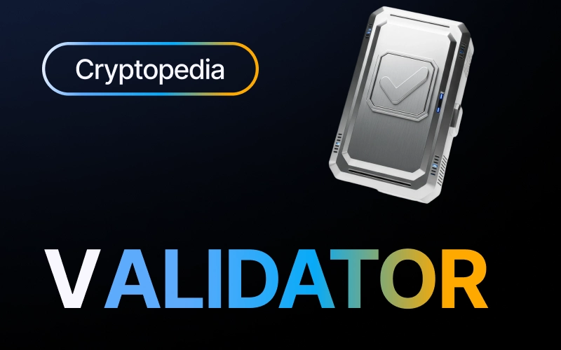 What is a validator in crypto?