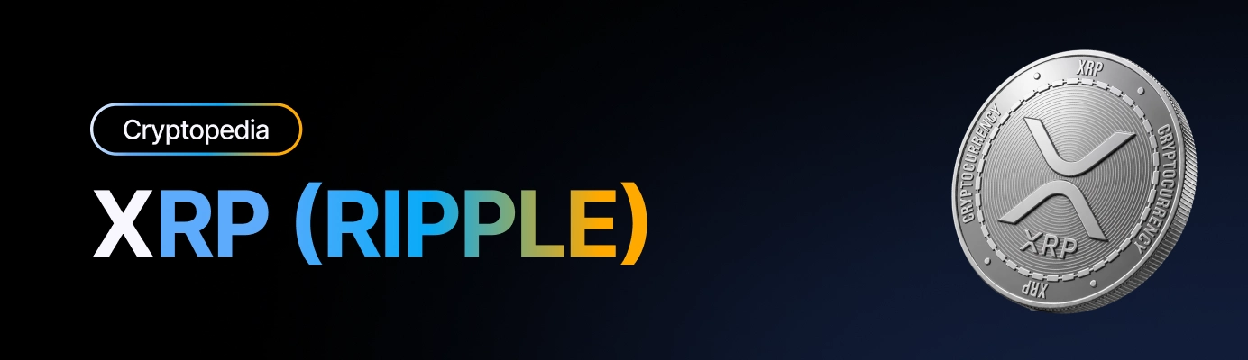 What is XRP (Ripple)? Payments, the SEC case, and 2026