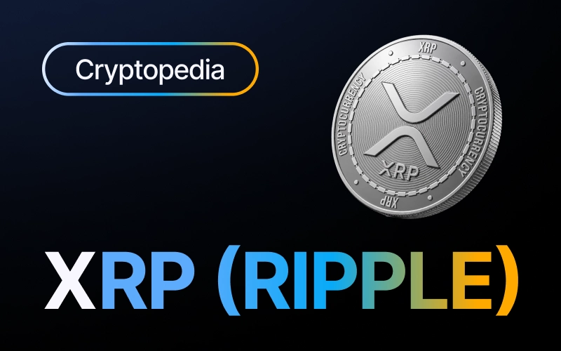 What is XRP (Ripple)? Payments, the SEC case, and 2026