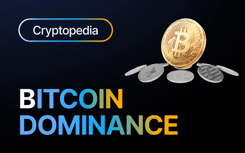What is Bitcoin dominance? How to read BTC.D