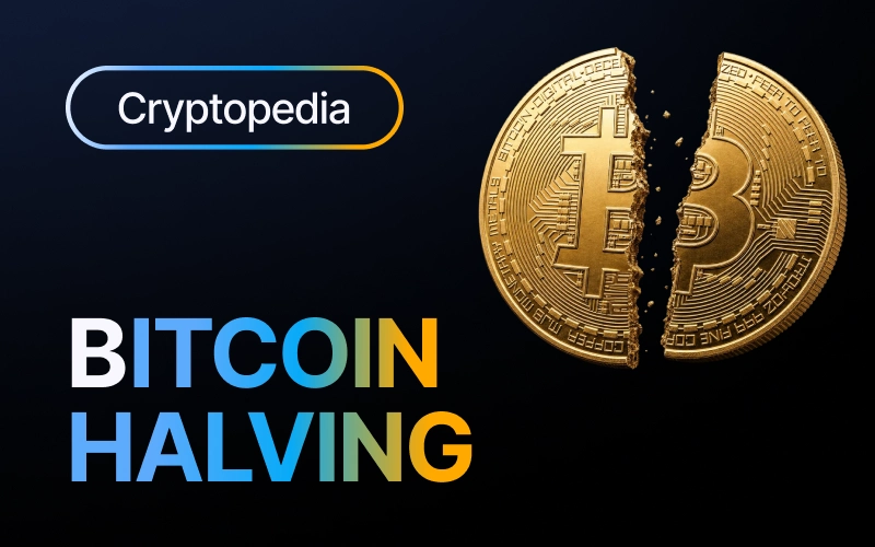 What is the Bitcoin halving? Dates and mechanics