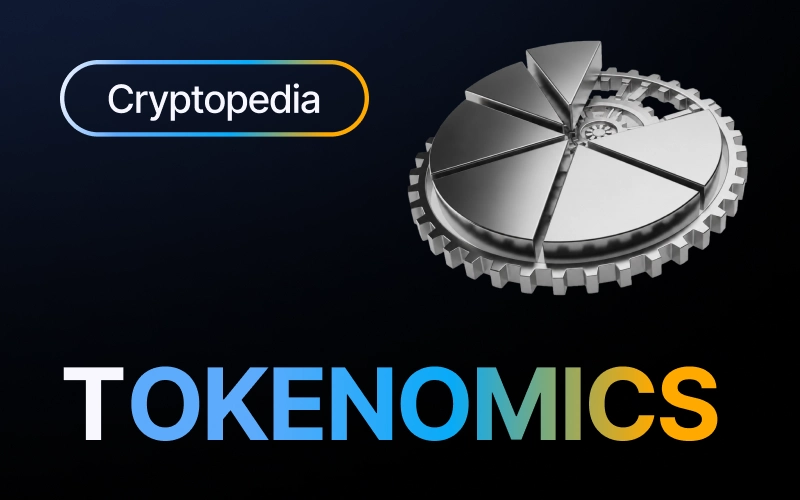 What is tokenomics? How to read a token's economics