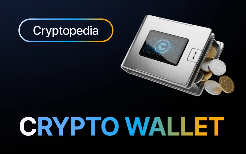 What is a crypto wallet? Types explained for beginners