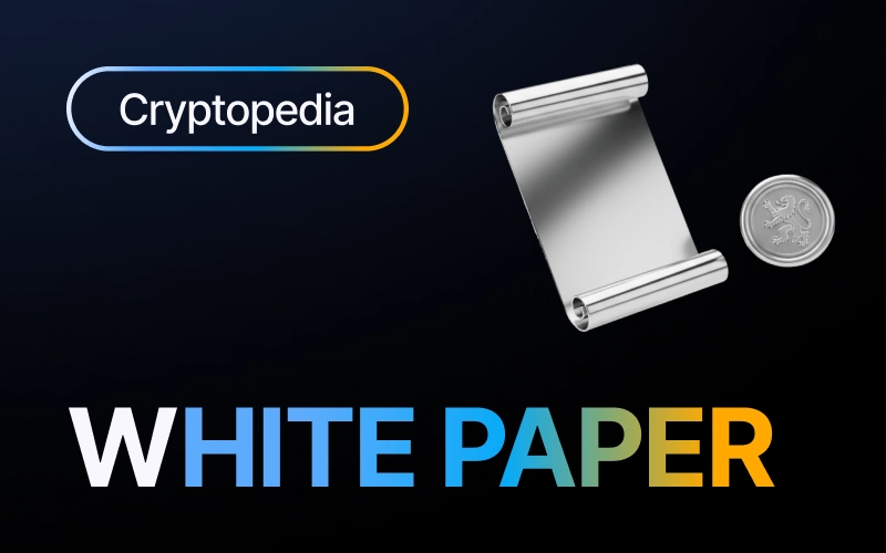 What is a crypto whitepaper? How to read one