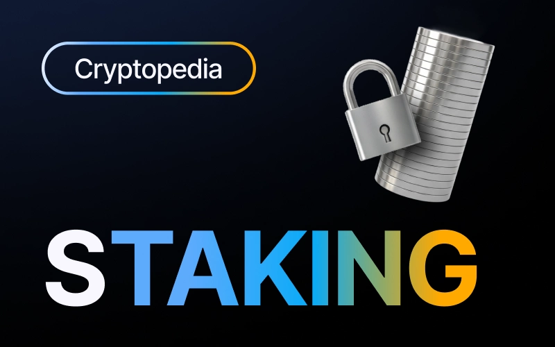 O que é staking em cripto? Como funciona e quanto rende