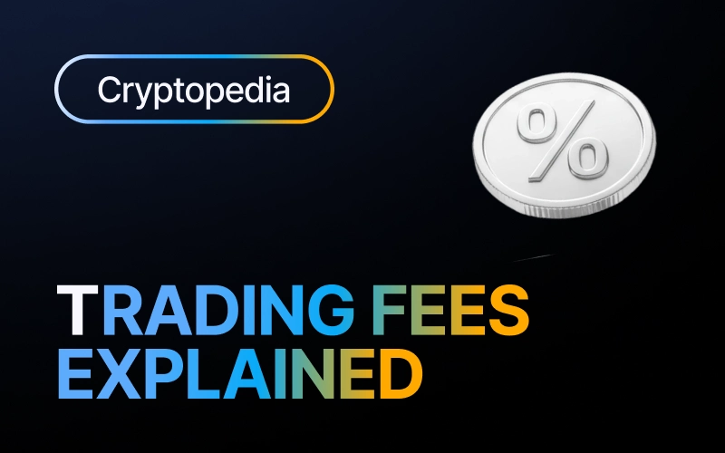 Trading fees explained: what you actually pay