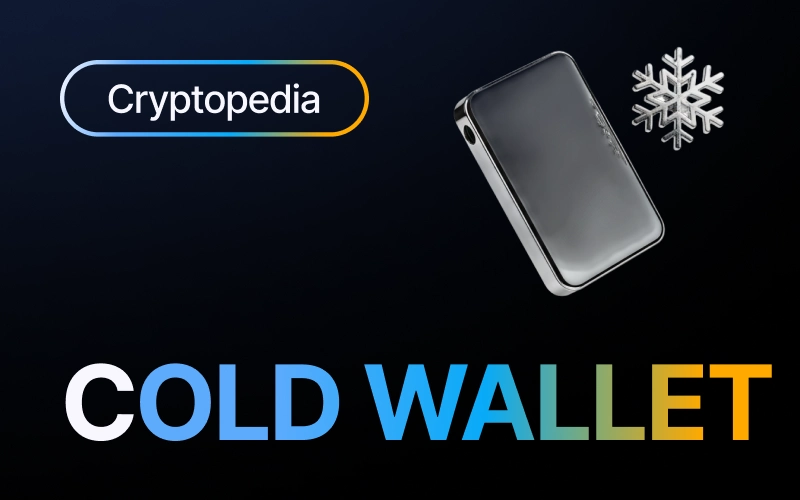 What is a cold wallet? Cold storage explained
