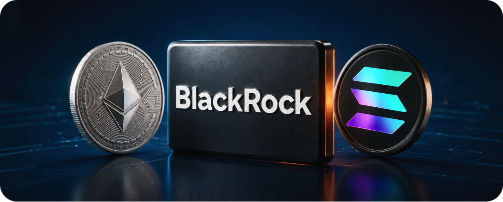 Header Mbg Token New Mbio En 4