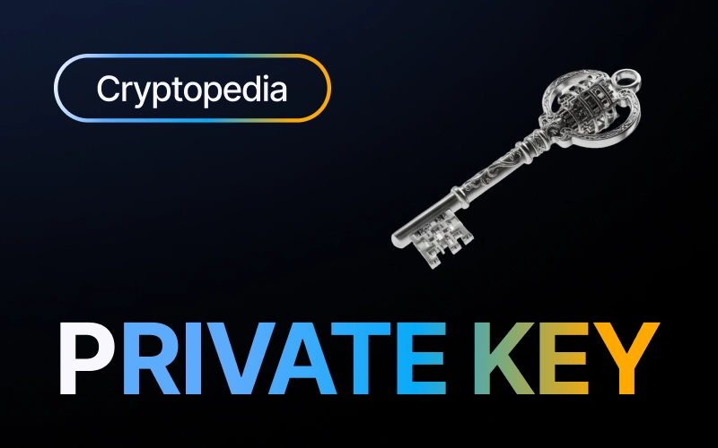 Что такое приватный ключ в криптовалюте?